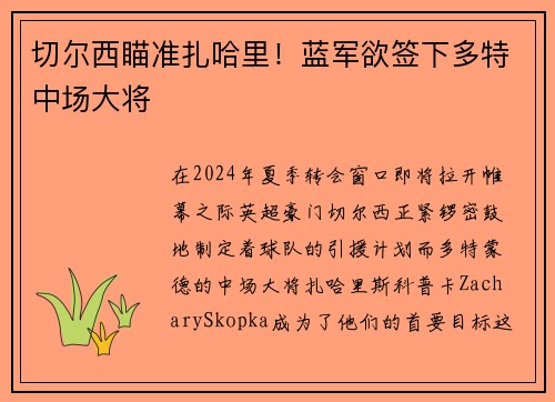 切尔西瞄准扎哈里！蓝军欲签下多特中场大将
